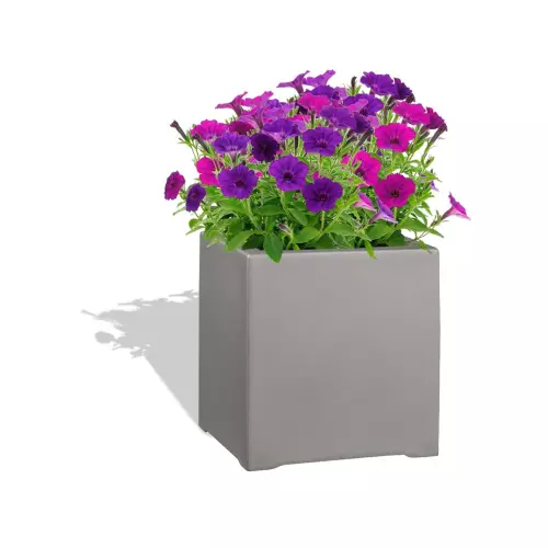 Szara donica D992A z Petuniami